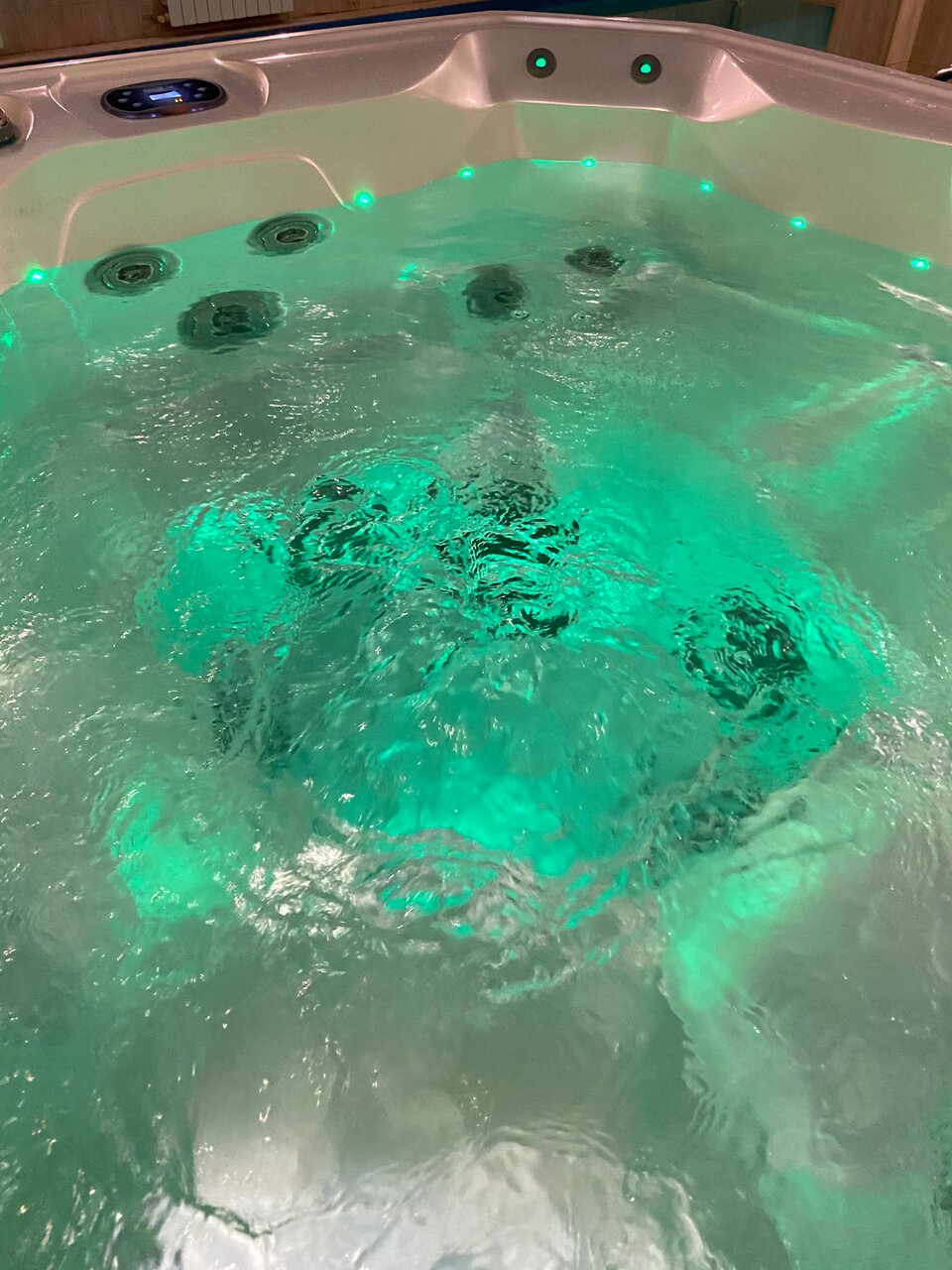 Гостиница Монарх Рязань-7