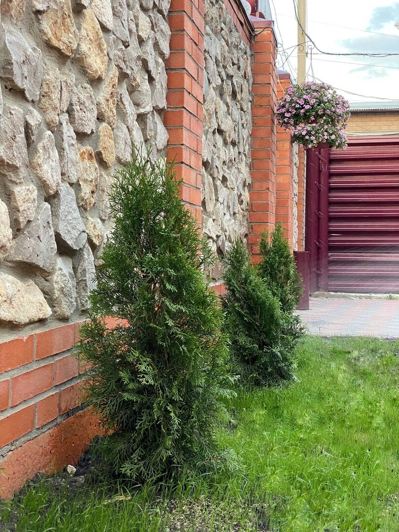 Гостиница Монарх Рязань-32