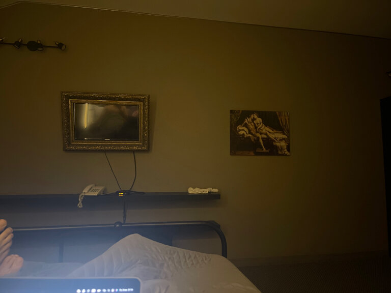 Гостиница Монарх Рязань-76