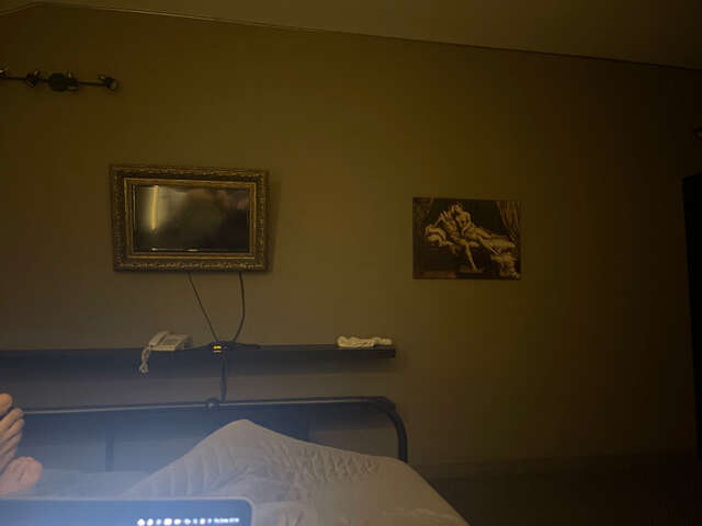 Гостиница Монарх Рязань-75